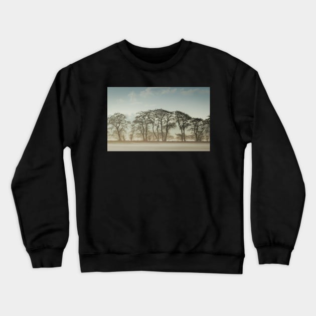 Winter Treeline Crewneck Sweatshirt by jldunbar